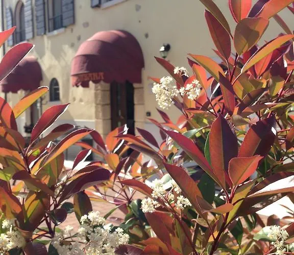 Colombara 巴多利诺