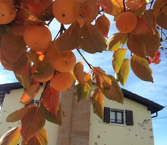 Colombara Aparthotel