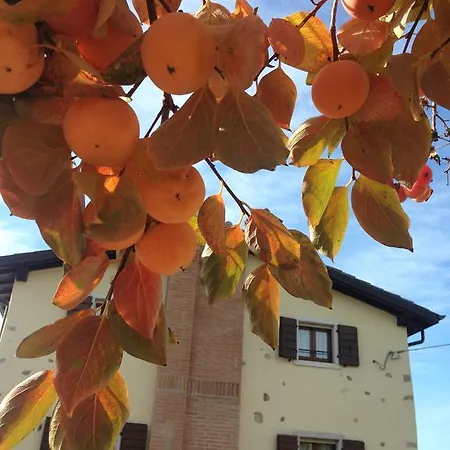 Colombara 公寓式酒店